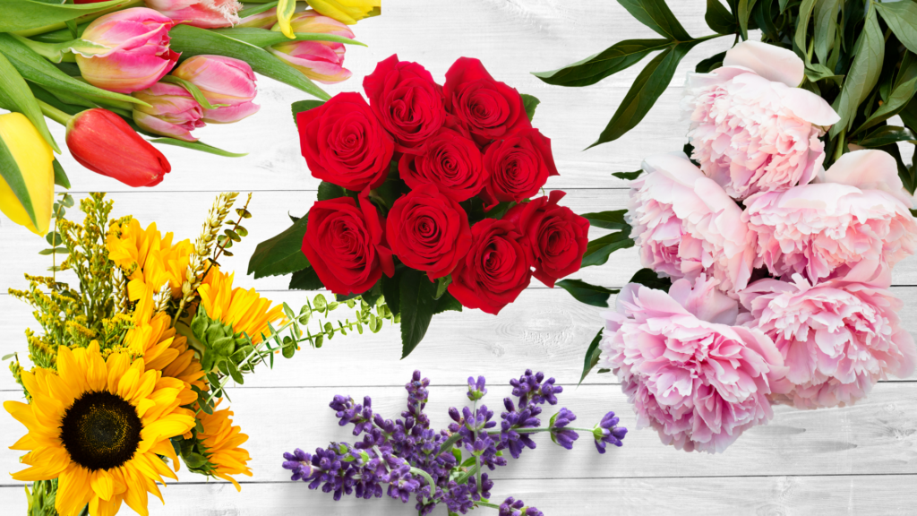 Valentine’s Day 2025: The Meaning of Flowers